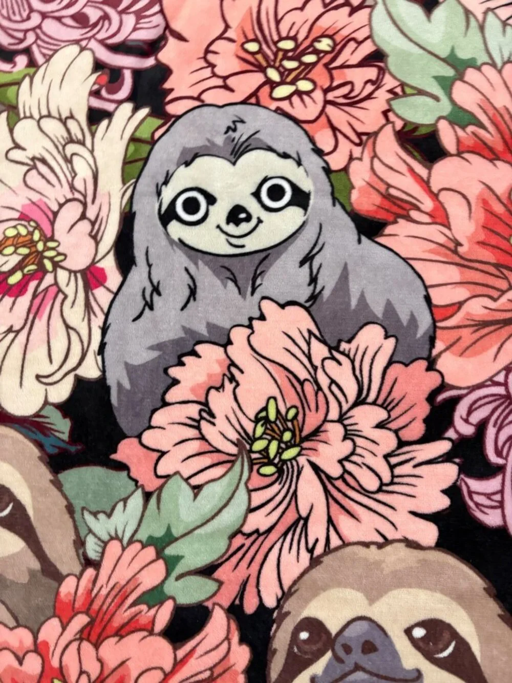 Plush Whimsical Sloth Throw With Sherpa Novelty Cute Kawaii Measures 50 x 60